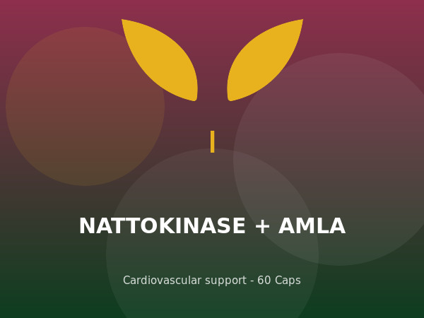 Nattokinase with AMLA capsules — Taikangyuan Health Center